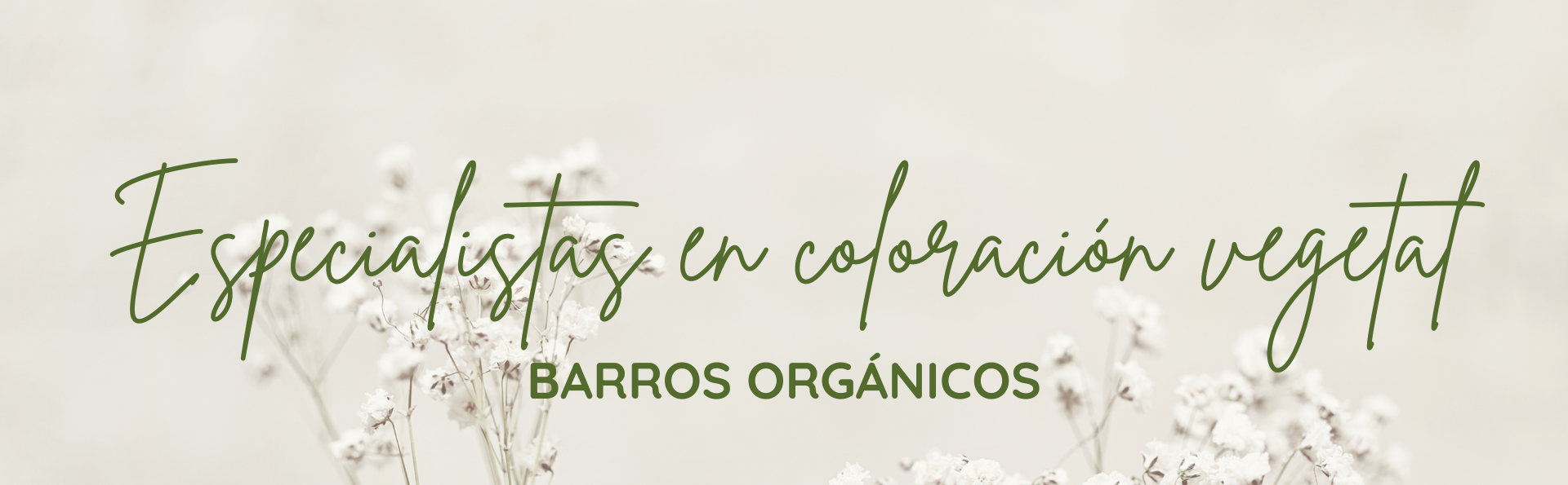 especialistas en coloración