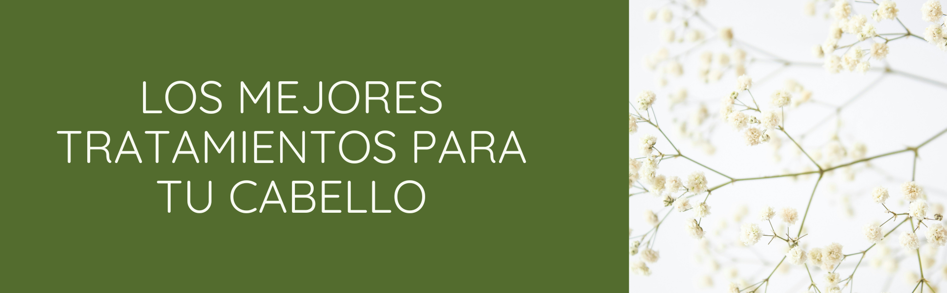 los mejores tratamientos para tu cabello